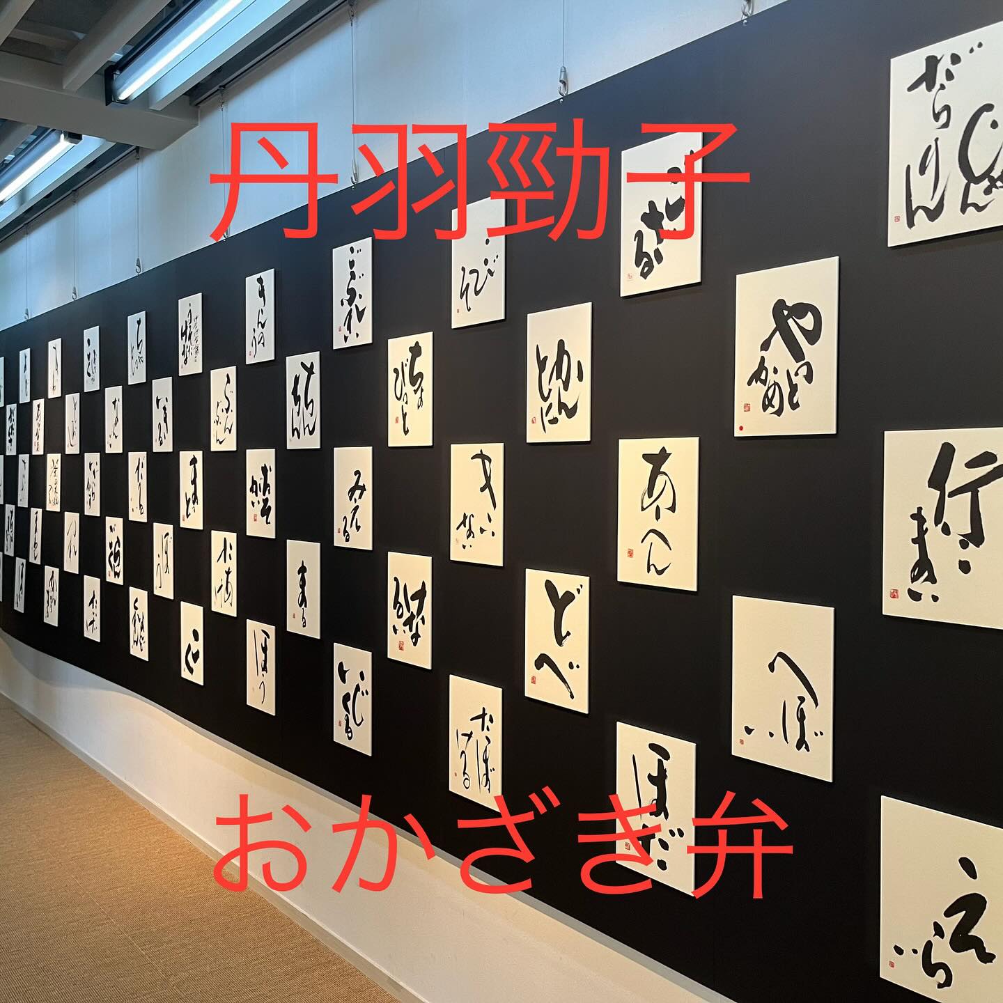 愛知県議会議員そのやま康男奮闘日記：「おかざき弁を見る・聞く」展